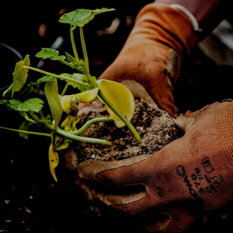 jonathan-kemper-CbZh3kaPxrE-unsplash